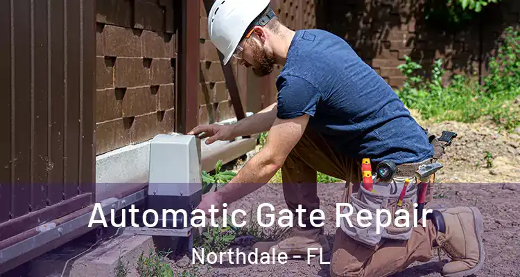  Automatic Gate Repair Northdale - FL