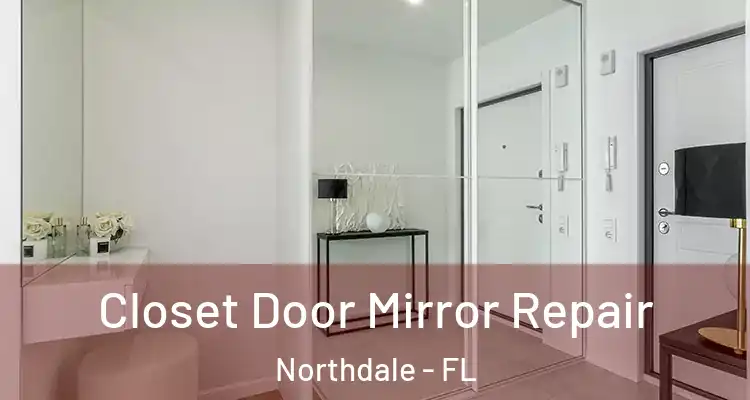  Closet Door Mirror Repair Northdale - FL