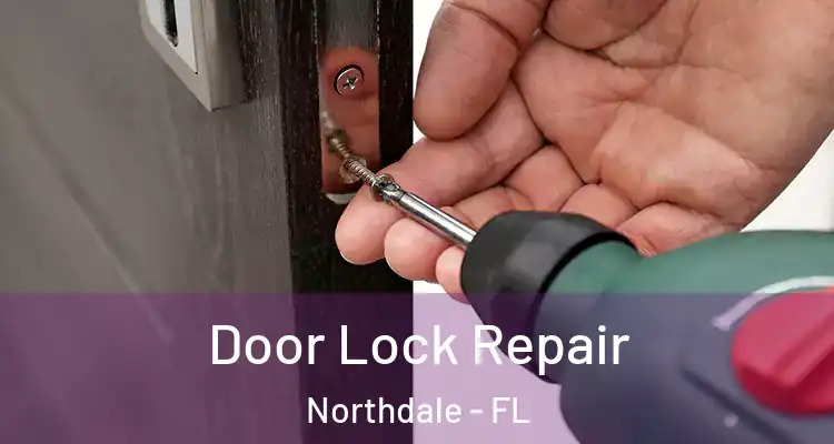  Door Lock Repair Northdale - FL