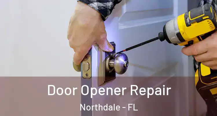  Door Opener Repair Northdale - FL