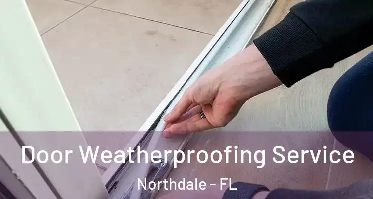  Door Weatherproofing Service Northdale - FL