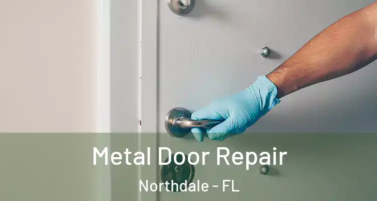  Metal Door Repair Northdale - FL