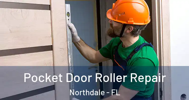  Pocket Door Roller Repair Northdale - FL