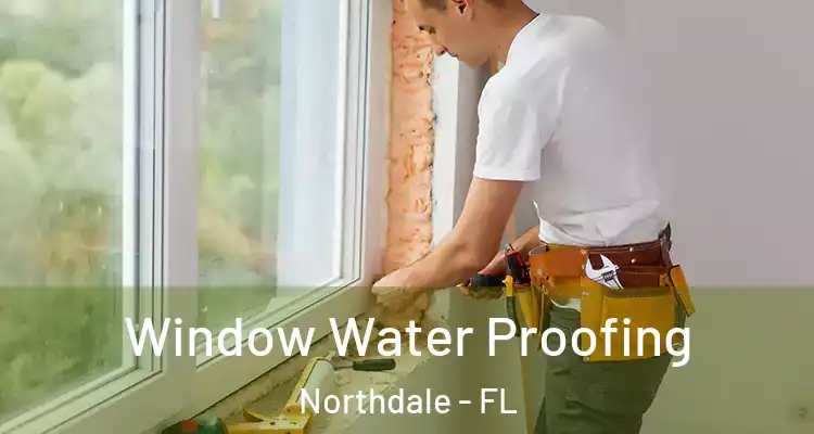  Window Water Proofing Northdale - FL